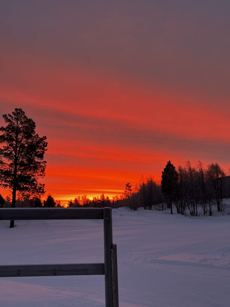rodhimmel-768x1024